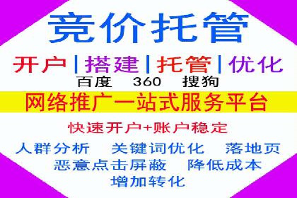网络推广竞价实战：某电商平台的成功案例